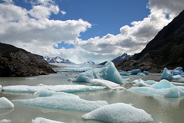 Glaciar Grey
